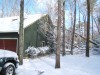 two trees on house